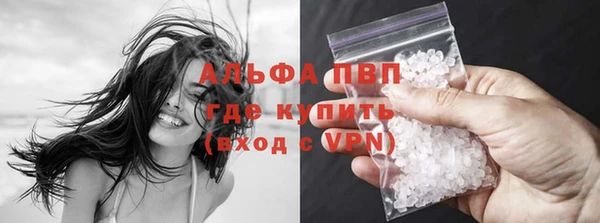спиды Инсар