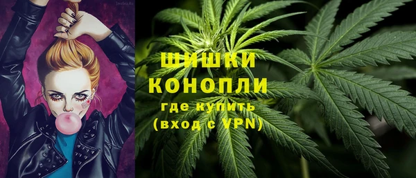 спиды Инсар